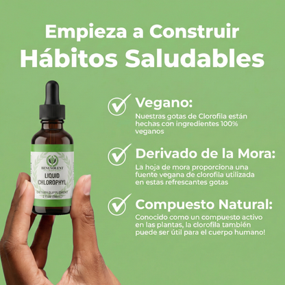 CLOROFILA LÍQUIDA